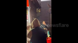 Clever Dog Communicates with Vendors at Night Market in Henan, China