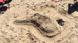 This springer spaniel loves to be buried in sand on the beach
