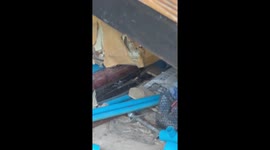 Cobra stuck in square metal pipe rescued in Thailand