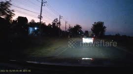 Shocking moment large tree falls onto oncoming car