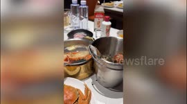 Octopus attempts daring escape as it tries to climb out of seafood bucket