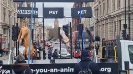 Viva! animals rights charity launch campaign with dead animals in Westminster