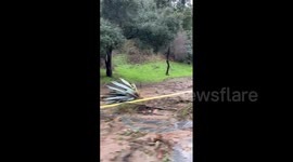 US: Atmospheric River – Violent Winds Knock Down Trees Leaving At Least 3 Dead 2