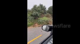 US: Atmospheric River – Violent Winds Knock Down Trees Leaving At Least 3 Dead