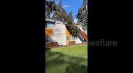 US: Atmospheric River – Violent Winds Knock Down Trees Leaving At Least 3 Dead 3