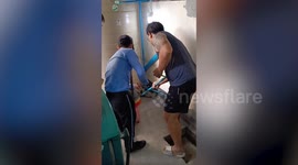 Volunteers catch aggressive monitor lizard hiding behind family's water tank in Thailand