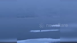 Police search for missing fisherman, 77, last seen on ice block drifting towards the arctic