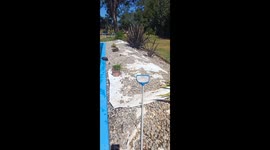 Heartwarming act of love: daughter's compassionate swim with 84-year-old father battling Alzheimer's