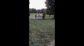 Collision sends horse crashing through fence in Wisconsin