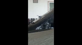 Playful wild bird uses car windscreen like a slide