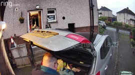 Dolly Needs to Work on Her Spatial Awareness