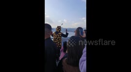 Man wears bread all over his body to feed seagulls in Kunming, China