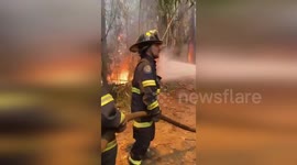 Firefighters Battle Catastrophic Forest Fires as Casualties Rise in Valparaiso, Chile