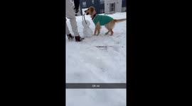 She Decided Frosty Did Not Need an Arm