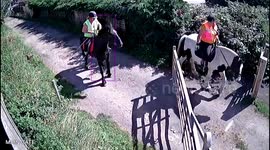 Rider pulled to ground after catching foot in gate whilst on horseback