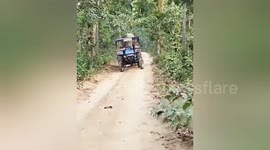 An elephants created ruckus by dragging tractor on Mayurbhanj, Odisha