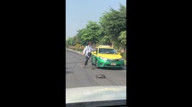 Taxi driver kindly removes turtle wandering across road