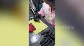 Schoolgirl tattoos shapes and butterflies on fake skin