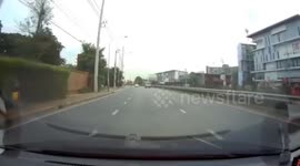 Kind delivery man rescues runaway pet bulldog on highway in Thailand