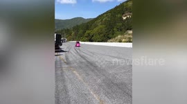 Tiny car standing 2ft with three wheels joins exhibition