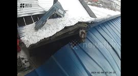 Dog narrowly escapes harm as shop roof collapses under weight of accumulated snow