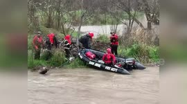 Six People and Dozens of Dogs Freed from Swollen River in San Jose, USA