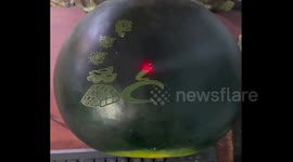 Vietnamese farmers use lasers to transform watermelons into artistic masterpieces ahead of Lunar New Year