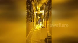 Essex Police Raids Cannabis Operation Worth $1.3M in Harlow, UK