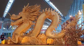 Biggest Golden Dragon Sculpture, Breaks Malaysia Book of Records
