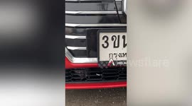 Trapped pigeon inside front bumper grill of MG car rescued