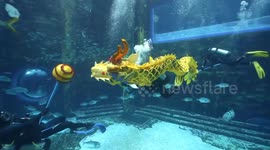 Divers perform dragon dance underwater for upcoming Chinese New Year