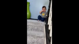 Belly flop: Little boy reverses and slides down the stairs in triumph