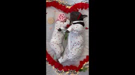 French Bulldog and baby dressed in Valentines day clothes and sleeping together, cutest thing you will ever see