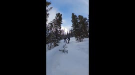 Snowboarders Crash Into Trees