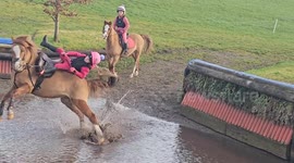 Buckaroo! Little girl ends up soaked after pony frantically throws her off into puddle