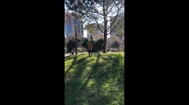 This is in center of Tirana, Albania. My son fell from a hill in the central park. It was funny.