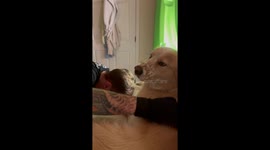 Rescue dog purrs like a cat whilst being stroked by owners