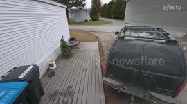 Who’s Walking Who?