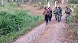 Rescue crews carry missing pensioner, 91, in hammock after finding him in forest