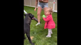 Doggo feels the urge to channel its inner offensive tackle while playing with toddler