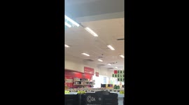 Sleepy shopper: dog takes nap among folded clothes in Fortaleza store
