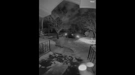 Woman's comical fall down icy steps captured on doorbell camera