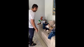 Little Dog Guards Baby