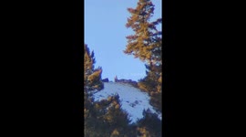 Yellowstone National Park wolves howling on a winter morning.