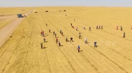 China's Inner Mongolia to further expand afforestation to control sand