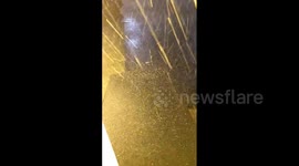 US: Severe Thunderstorm Brings Lightning And Hail To Chicago Metropolitan Area