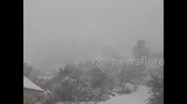 US: Heavy Snowfall Causes Whiteout Conditions In Arizona 2