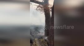 Firefighters and Aerial Support Combat Brush Fire in Adrano, Italy