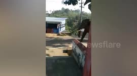 Enraged elephant rampages through village in India