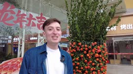 Georgian expat's homecoming journey in Spring Festival